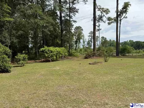 Exterior - 2134 Arrie Rd, Dillon, SC 29536 photo 17 of 18