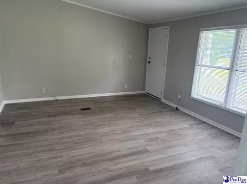 119 Summit Pl, Marion, SC 29571 photo 4