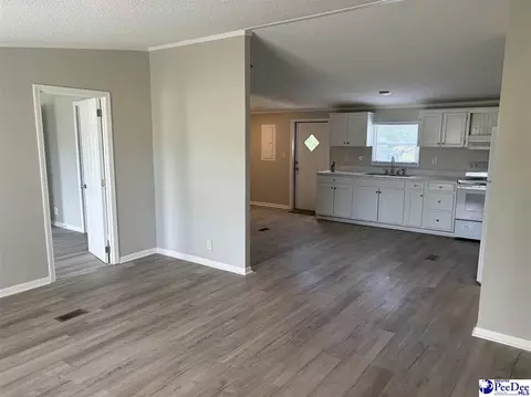 119 Summit Pl, Marion, SC 29571 photo 5