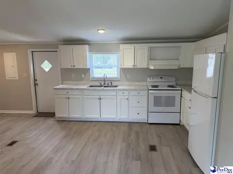 119 Summit Pl, Marion, SC 29571 photo 7