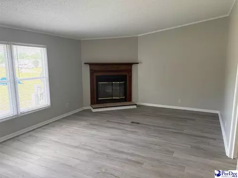 119 Summit Pl, Marion, SC 29571 photo 9