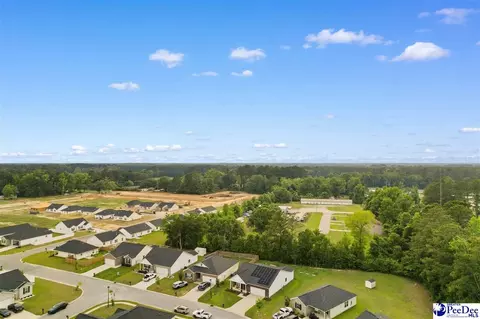 View/Area - 3699 Saddleridge Dr, Florence, SC 29501 photo 6 of 10
