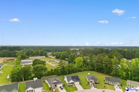 View/Area - 3699 Saddleridge Dr, Florence, SC 29501 photo 9 of 10