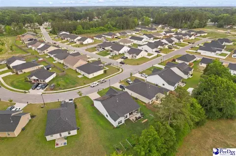 View/Area - 3699 Saddleridge Dr, Florence, SC 29501 photo 2 of 10
