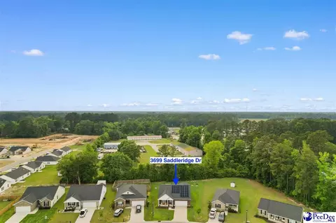 View/Area - 3699 Saddleridge Dr, Florence, SC 29501 photo 7 of 10