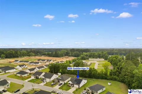 View/Area - 3699 Saddleridge Dr, Florence, SC 29501 photo 5 of 10