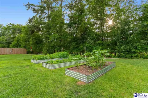 Other - 3699 Saddleridge Dr, Florence, SC 29501 photo 7 of 7