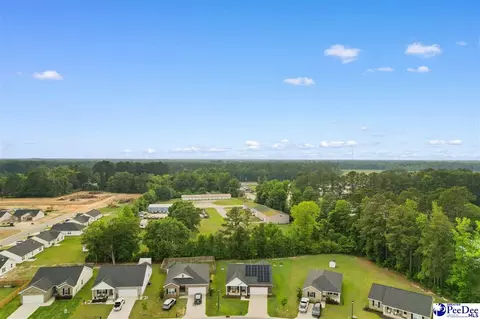 View/Area - 3699 Saddleridge Dr, Florence, SC 29501 photo 8 of 10