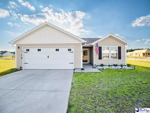 1964 Eastpark, Darlington, SC 29532