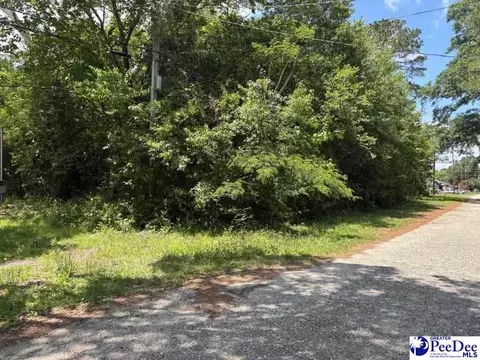 1108 E Hudson St, Dillon, SC 29536 photo 3