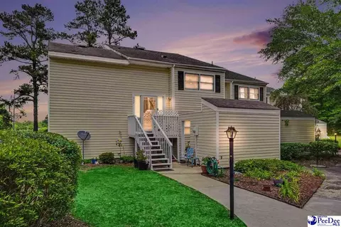 317 Lakeview Dr, Johnsonville, SC 29555