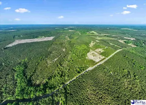 2780 Mill Creek Rd, Bethune, SC 29009 photo 9