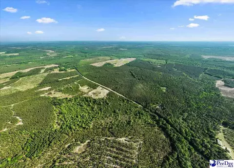 2780 Mill Creek Rd, Bethune, SC 29009