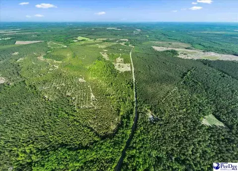 2780 Mill Creek Rd, Bethune, SC 29009 photo 8