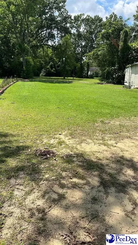 310 Bobby L Davis Blvd, Marion, SC 29571