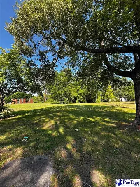 310 Bobby L Davis Blvd, Marion, SC 29571
