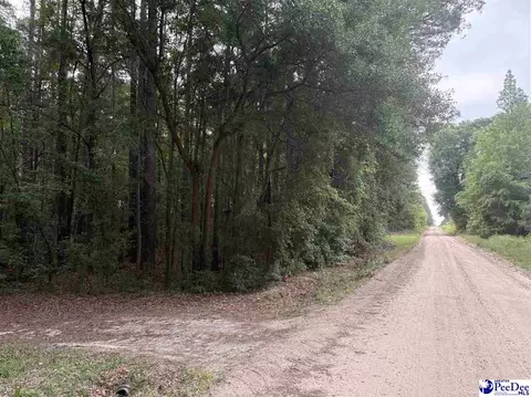 tbd Flat Creek Rd, Darlington, SC 29540
