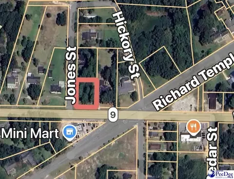 tbd Corner Of Highway 9 Hickory St, Lake View, SC 29565