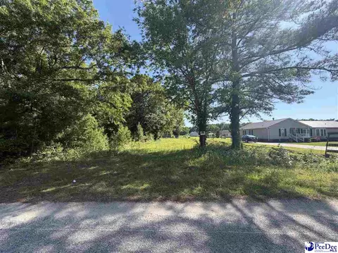 711 W Dargan St, Dillon, SC 29536 photo 3