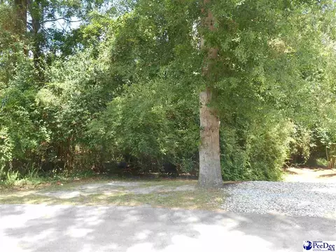 1007 Hondros Cir, Florence, SC 29505