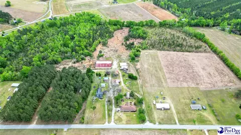 6300 Temperance Hill Rd, Marion, SC 29571