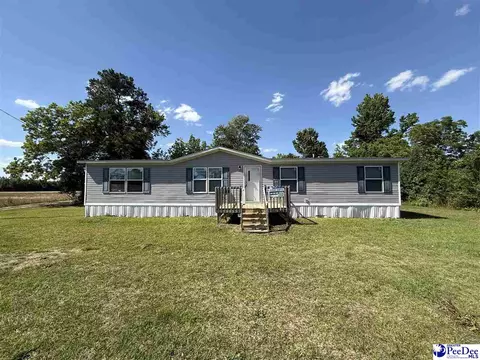 4905 Mount Sinai Church Rd, Lynchburg, SC 29080