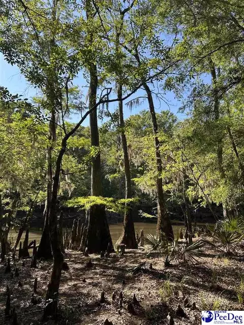 tbd River Neck Rd, Florence, SC 29505 photo 23