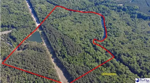tbd River Neck Rd, Florence, SC 29505 photo 10