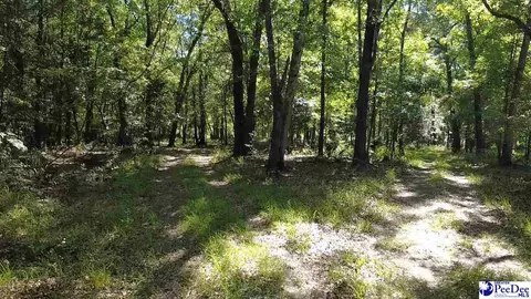 tbd River Neck Rd, Florence, SC 29505 photo 37