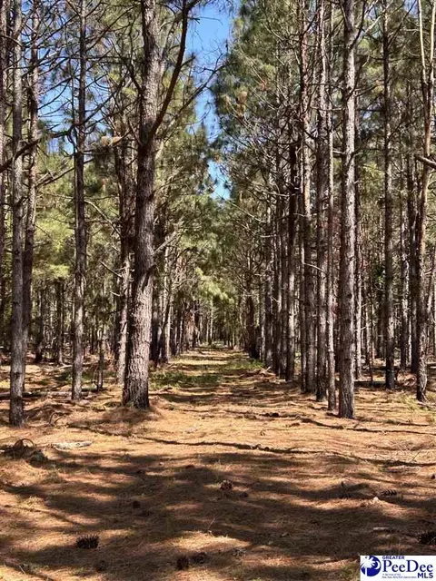 tbd River Neck Rd, Florence, SC 29505 photo 46