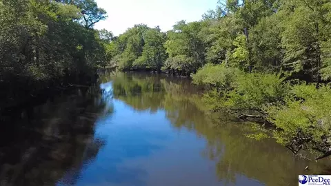 tbd River Neck Rd, Florence, SC 29505 photo 28