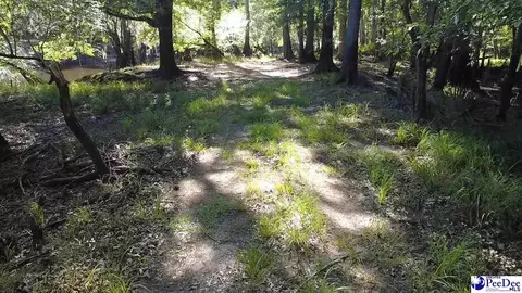 tbd River Neck Rd, Florence, SC 29505 photo 32