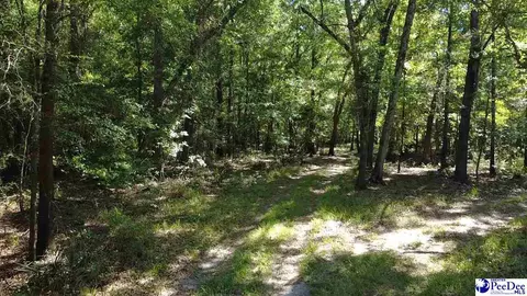 tbd River Neck Rd, Florence, SC 29505 photo 38