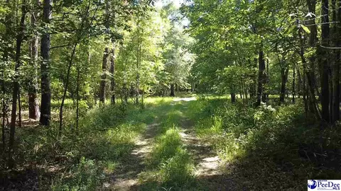 tbd River Neck Rd, Florence, SC 29505 photo 40