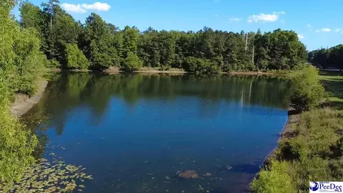 tbd River Neck Rd, Florence, SC 29505 photo 17