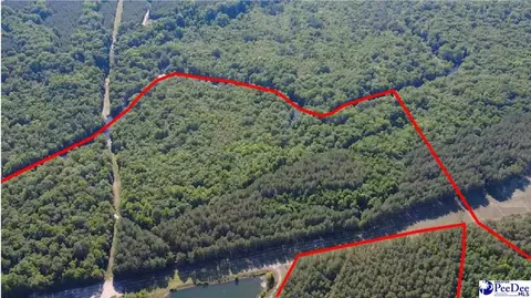tbd River Neck Rd, Florence, SC 29505 photo 5