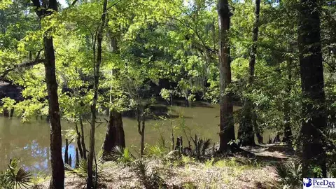 tbd River Neck Rd, Florence, SC 29505 photo 24