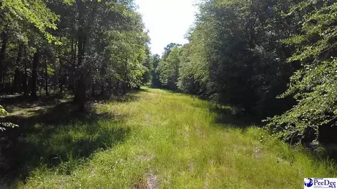 tbd River Neck Rd, Florence, SC 29505 photo 41