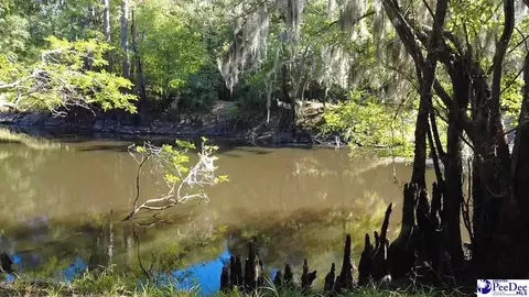 tbd River Neck Rd, Florence, SC 29505 photo 25