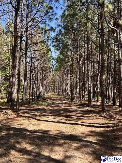 tbd River Neck Rd, Florence, SC 29505 photo 45
