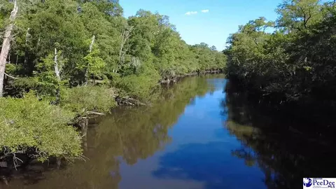 tbd River Neck Rd, Florence, SC 29505 photo 26