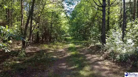 tbd River Neck Rd, Florence, SC 29505 photo 39