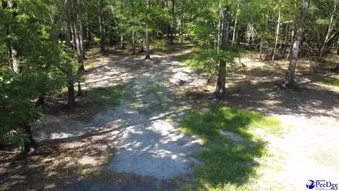 tbd River Neck Rd, Florence, SC 29505 photo 35