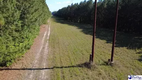 tbd River Neck Rd, Florence, SC 29505 photo 20