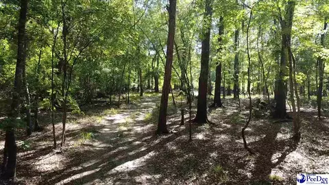 tbd River Neck Rd, Florence, SC 29505 photo 36