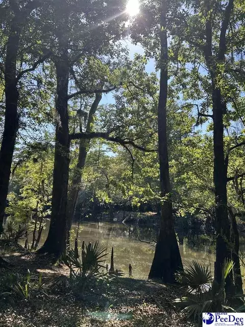 tbd River Neck Rd, Florence, SC 29505 photo 31