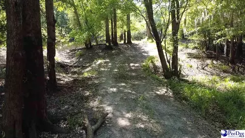tbd River Neck Rd, Florence, SC 29505 photo 34