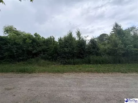 tbd 4th Ave, Lake View, SC 29563