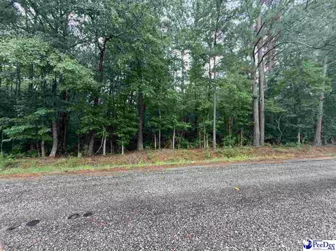 tbd Brookeside Rd, Dillon, SC 29536 photo 2