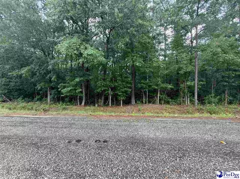 tbd Brookeside Rd, Dillon, SC 29536